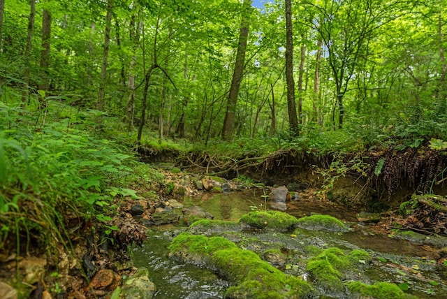 183 Waymaker Ln, Estill Springs, TN 37330