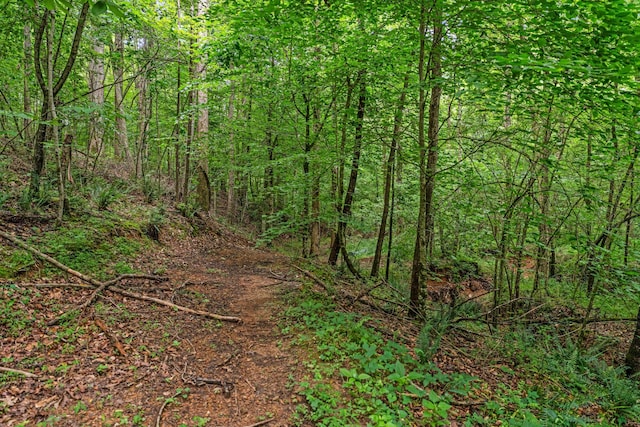 183 Waymaker Ln, Estill Springs, TN 37330