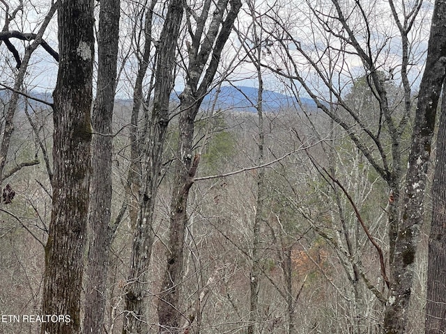 5 Overholt Trl, Sevierville, TN 37862