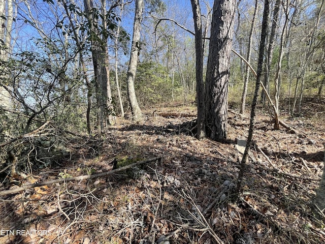 5 Overholt Trl, Sevierville, TN 37862