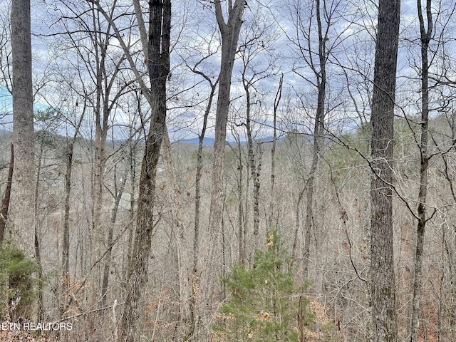 5 Overholt Trl, Sevierville, TN 37862