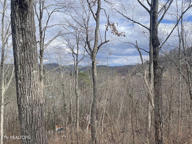 5 Overholt Trl, Sevierville, TN 37862