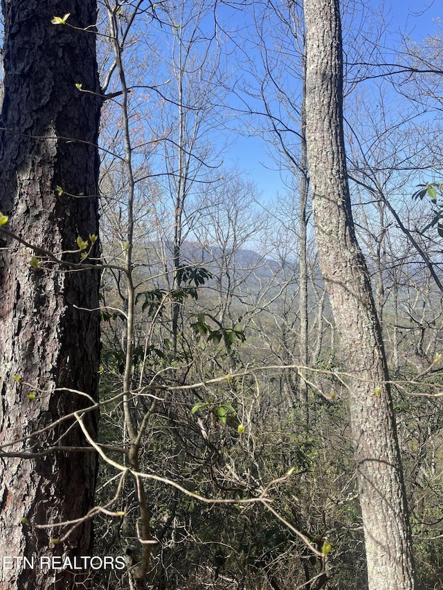 5 Overholt Trl, Sevierville, TN 37862