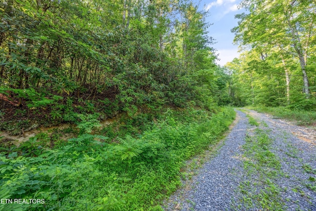 5 Overholt Trl, Sevierville, TN 37862 - photo 3