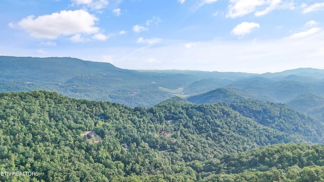 5 Overholt Trl, Sevierville, TN 37862 - photo 8