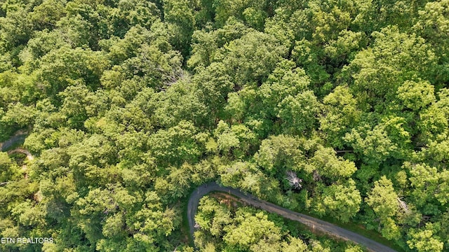 5 Overholt Trl, Sevierville, TN 37862 - photo 5
