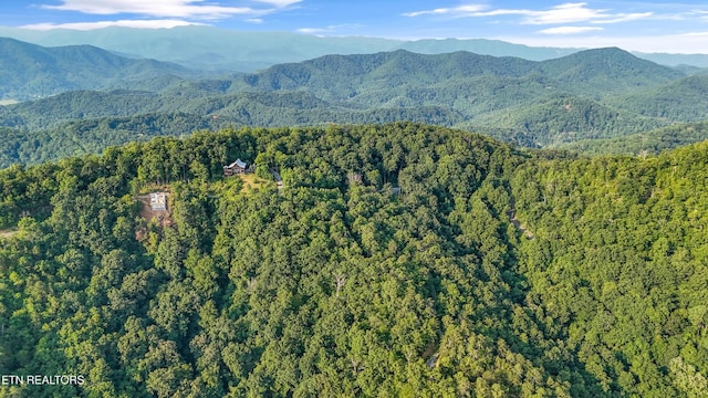 5 Overholt Trl, Sevierville, TN 37862 - photo 9