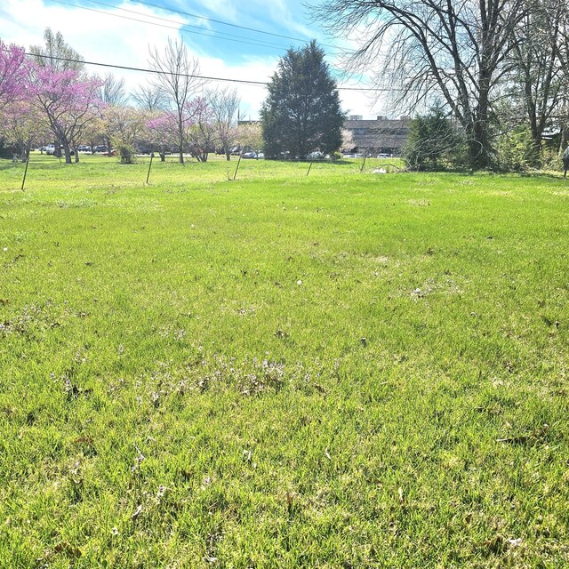 1131 W Broad St, Smithville, TN 37166 - photo 31