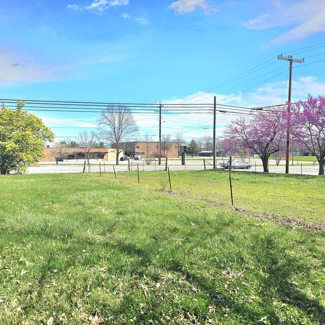1131 W Broad St, Smithville, TN 37166 - photo 28