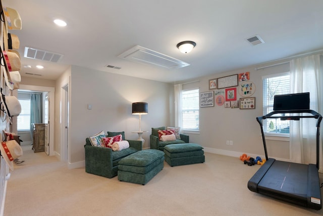 3309 Longstalk Rd, Antioch, TN 37013 - workout room with attic access, carpet flooring, baseboards, and recessed lighting