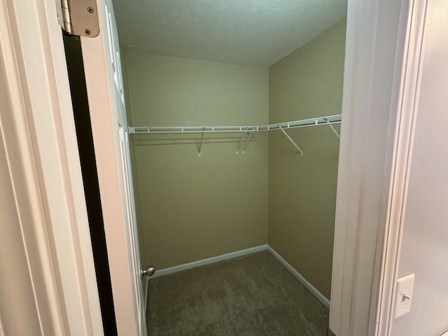 3236 Prater Ct, Murfreesboro, TN 37128 - spacious closet with carpet floors