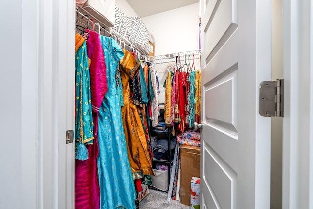 604 Birdie Dr, Spring Hill, TN 37174 - walk in closet featuring carpet