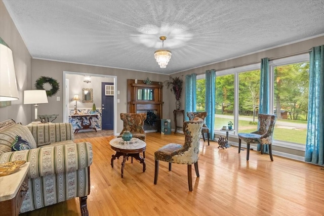 210 Lankford St, Bruceton, TN 38317 - living room with a textured ceiling, light wood finished floors, and ornamental molding