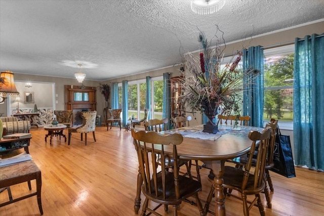 210 Lankford St, Bruceton, TN 38317 - dining room with light wood-style flooring, a textured ceiling, and ornamental molding