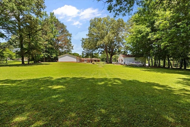 210 Lankford St, Bruceton, TN 38317 - view of green lawn