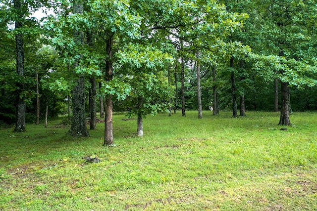 7111 Harrison Dr, Fairview, TN 37062 - view of woods