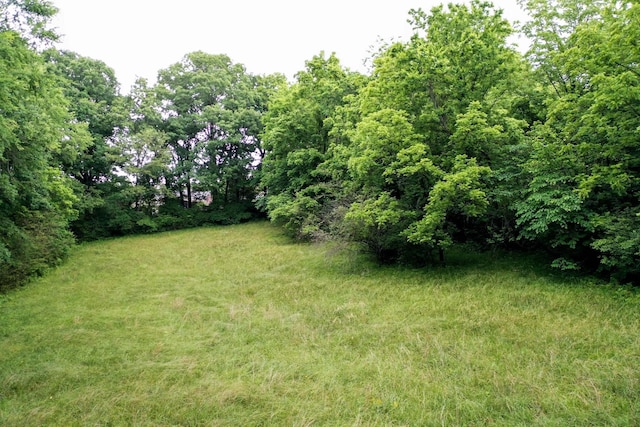 7111 Harrison Dr, Fairview, TN 37062 - view of yard