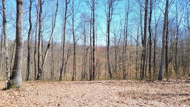 0 Ridge Rd, Joelton, TN 37080