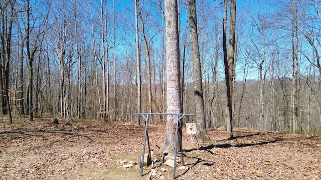 0 Ridge Rd, Joelton, TN 37080