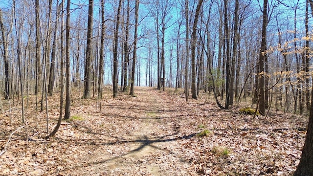 0 Ridge Rd, Joelton, TN 37080
