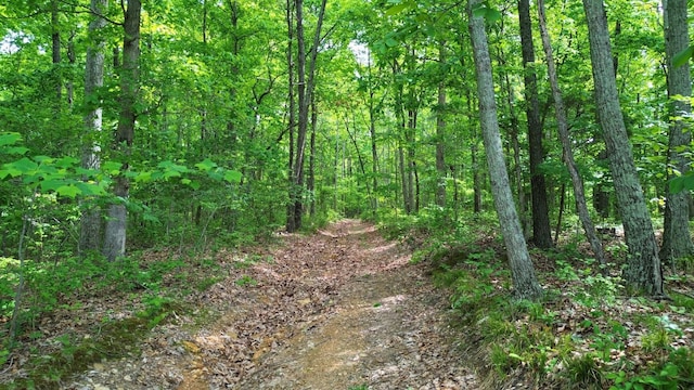 0 Ridge Rd, Joelton, TN 37080