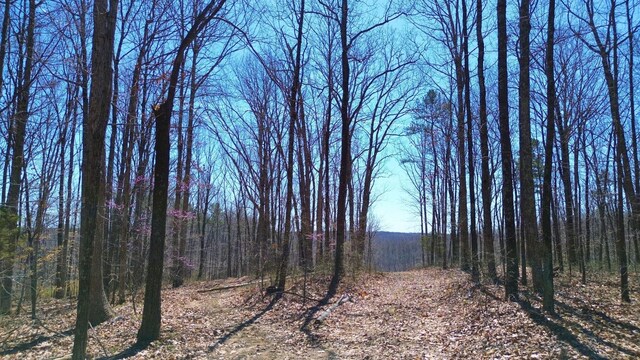 0 Ridge Rd, Joelton, TN 37080