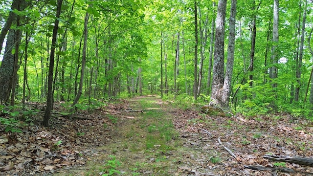0 Ridge Rd, Joelton, TN 37080