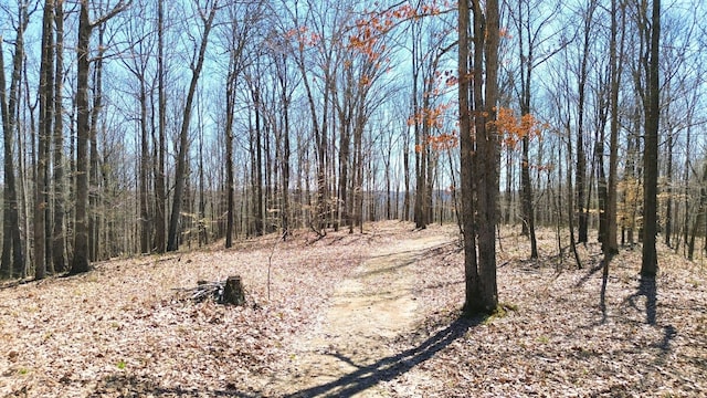 0 Ridge Rd, Joelton, TN 37080