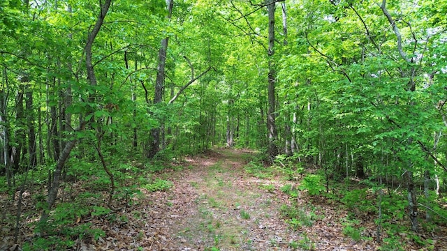 0 Ridge Rd, Joelton, TN 37080