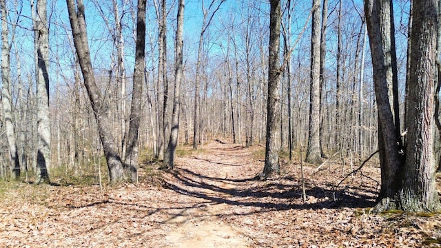 0 Ridge Rd, Joelton, TN 37080