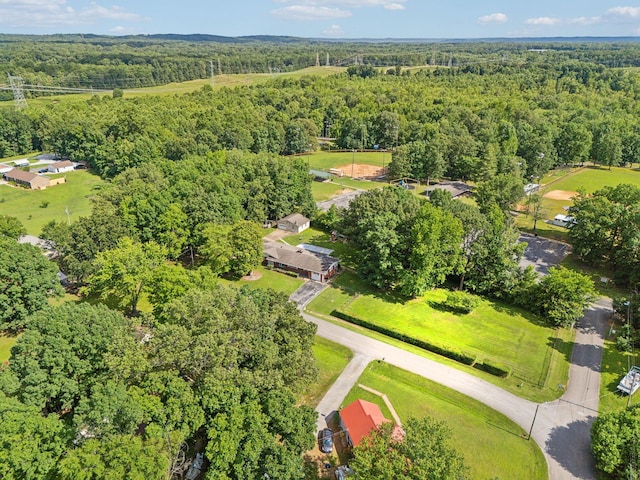 414 Ashe Ave, New Johnsonville, TN 37134 - aerial view of a heavily wooded area