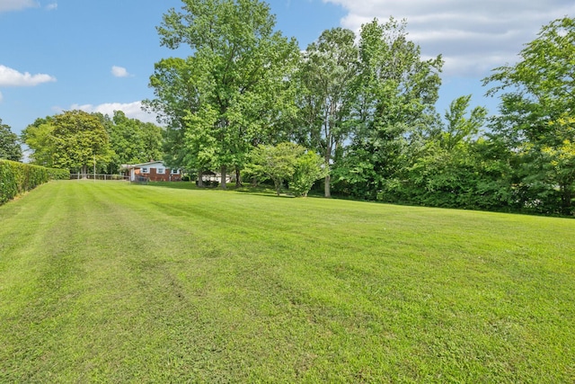 414 Ashe Ave, New Johnsonville, TN 37134 - view of green lawn