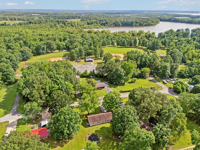 414 Ashe Ave, New Johnsonville, TN 37134 - aerial overview of property's location with a nearby body of water and a forest