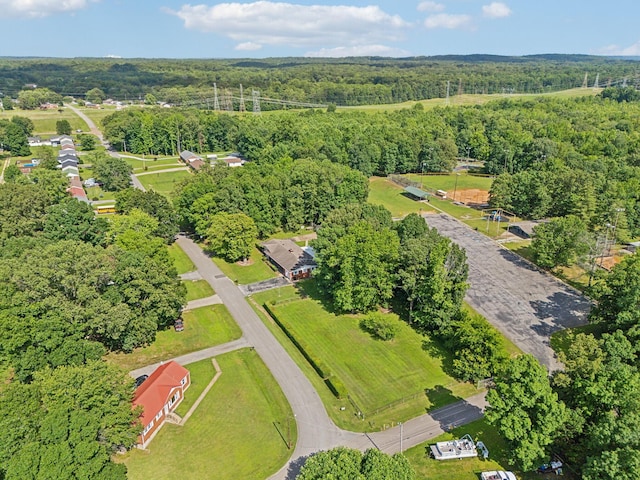 414 Ashe Ave, New Johnsonville, TN 37134 - aerial overview of property's location with a forest