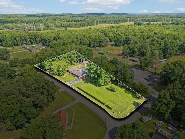 414 Ashe Ave, New Johnsonville, TN 37134 - aerial view of property's location with property parcel outlined and a heavily wooded area