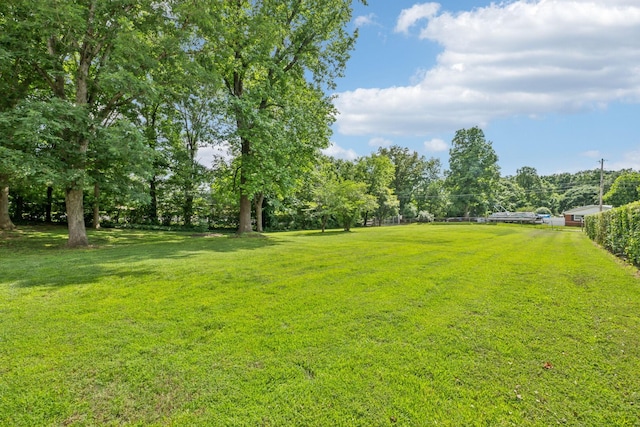 414 Ashe Ave, New Johnsonville, TN 37134 - view of grassy yard