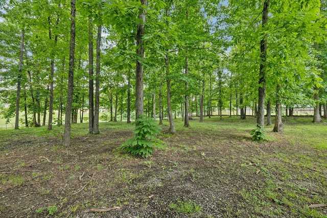 414 Ashe Ave, New Johnsonville, TN 37134 - view of nature