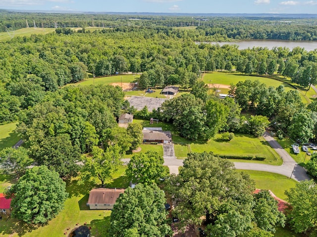 414 Ashe Ave, New Johnsonville, TN 37134 - aerial view of a large body of water and a forest