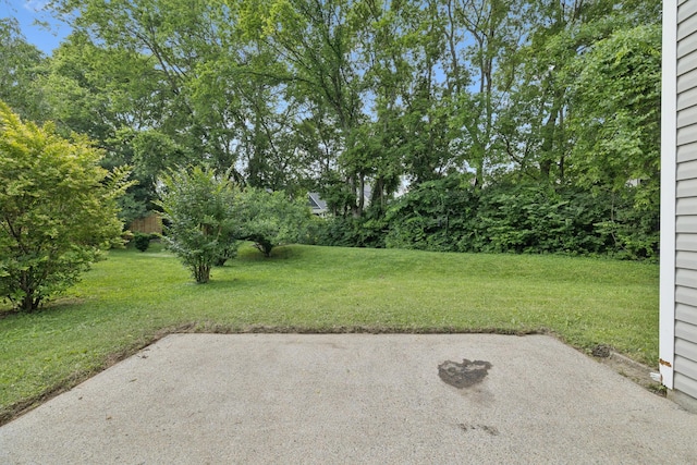 1061 Chesire Way, Gallatin, TN 37066 - photo 36