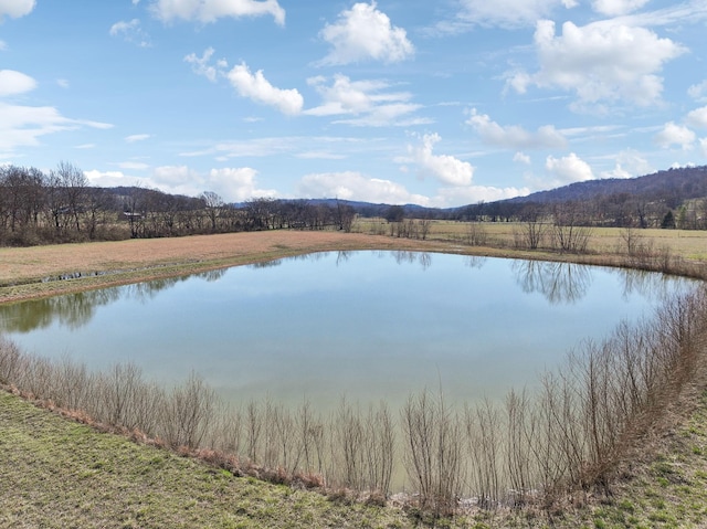 0 Polk Ln, Columbia, TN 38401