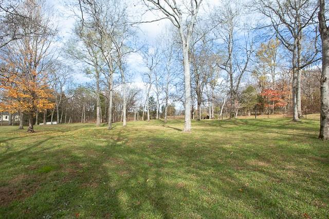 6684 Eudailey Covington Rd, College Grove, TN 37046 - view of grassy yard