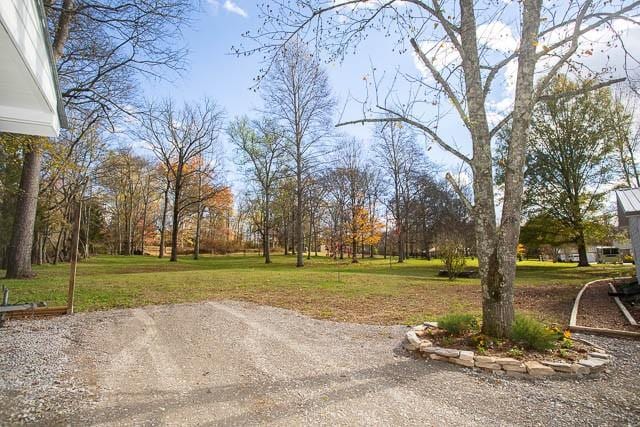 6684 Eudailey Covington Rd, College Grove, TN 37046 - view of grassy yard