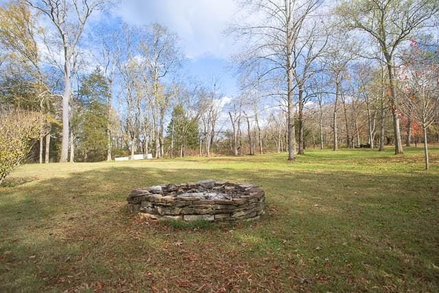 6684 Eudailey Covington Rd, College Grove, TN 37046 - view of green lawn