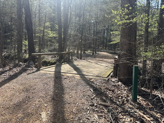 268 Sugar Maple Dr, Dover, TN 37058 - view of street featuring a forest view