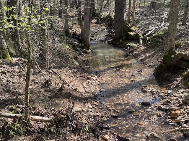 268 Sugar Maple Dr, Dover, TN 37058 - view of nature