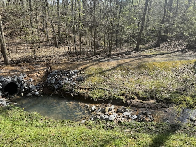 268 Sugar Maple Dr, Dover, TN 37058 - view of yard
