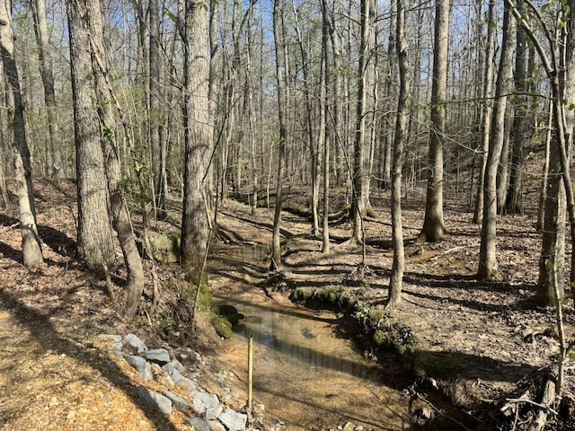268 Sugar Maple Dr, Dover, TN 37058 - view of nature