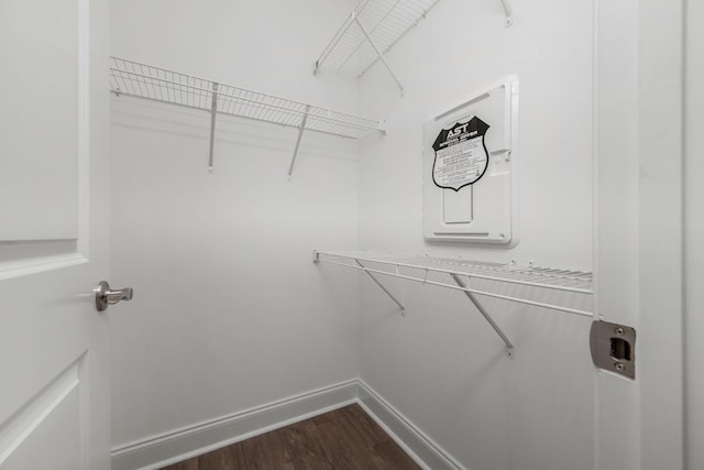 1021 Vida Way Unit 202, Nolensville, TN 37135 - walk in closet with dark wood-type flooring
