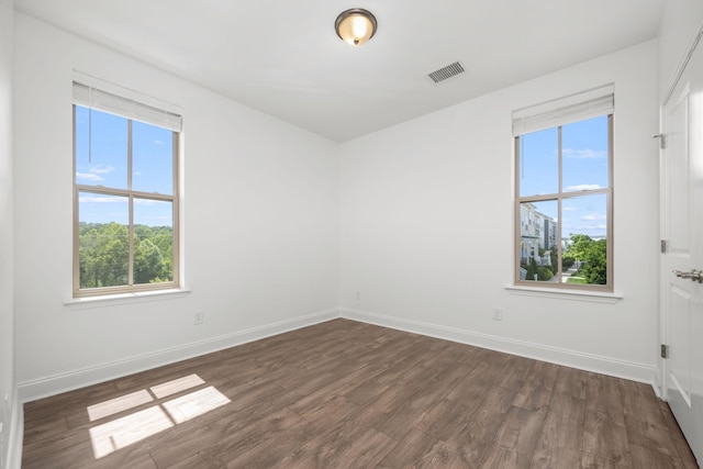 1021 Vida Way Unit 202, Nolensville, TN 37135 - unfurnished room featuring dark wood-style floors, plenty of natural light, and baseboards
