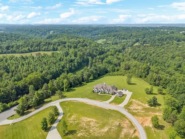 2999 Lewisburg Hwy, Pulaski, TN 38478 - photo 85